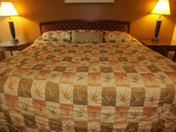 Cameo Motel - Portland image 11