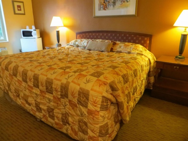 Cameo Motel - Portland image 5