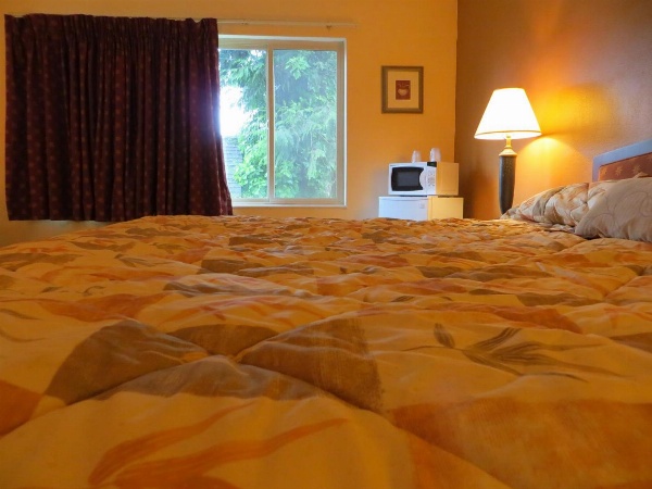 Cameo Motel - Portland image 8