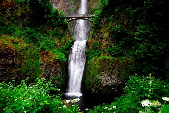 Tour image 5