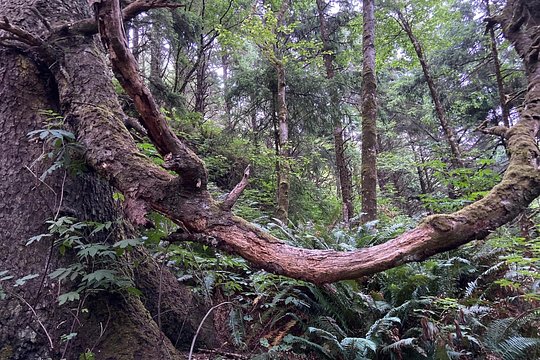 Tour image 5